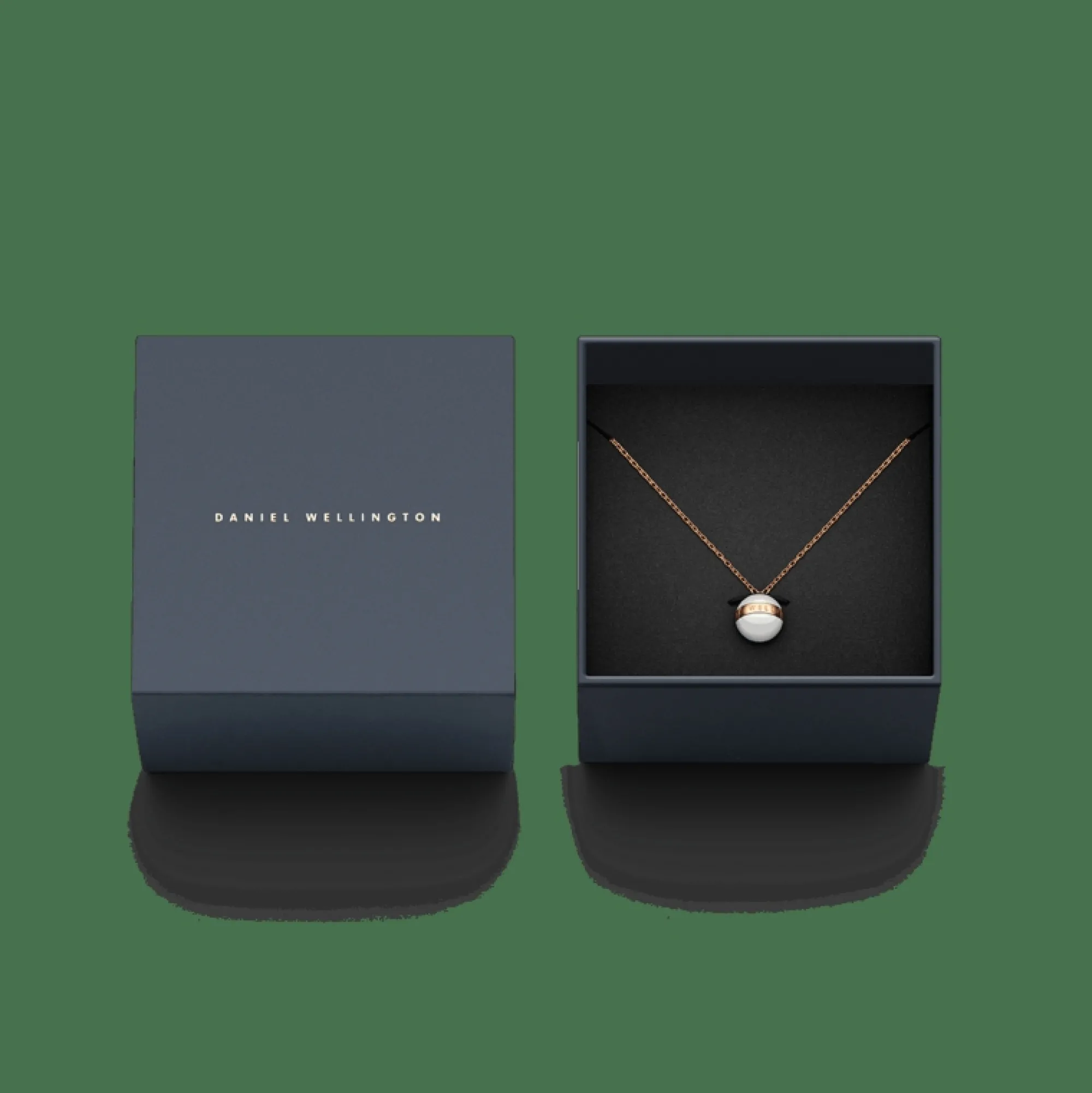 aspiration_necklace_3-1.webp Daniel Wellington Aspiration Necklace