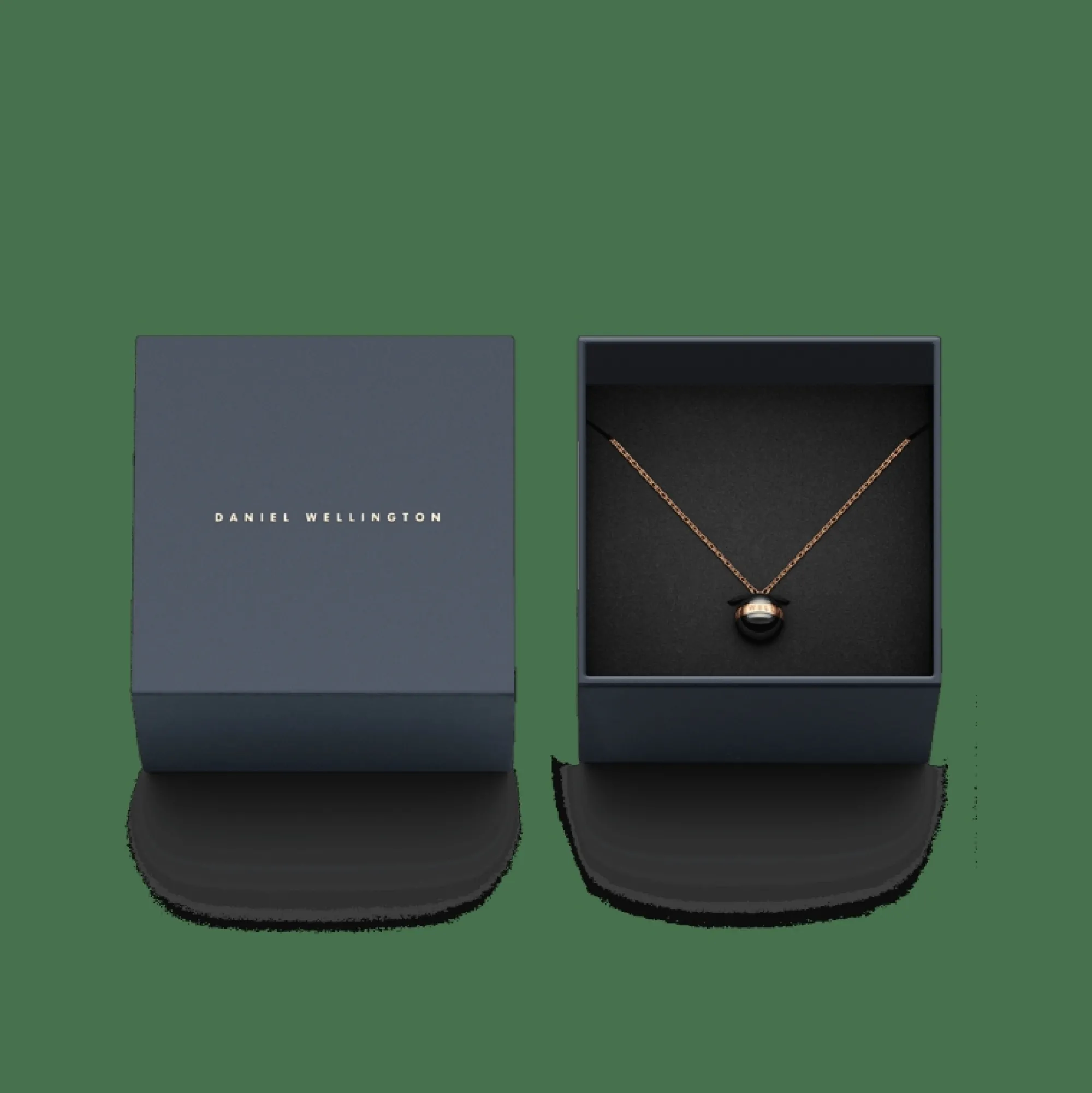 aspiration_necklace_3.webp Daniel Wellington Aspiration Necklace