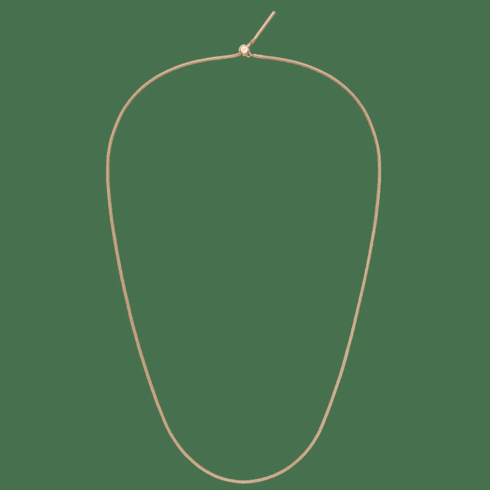 Daniel Wellington Charms Snake Necklace RG
