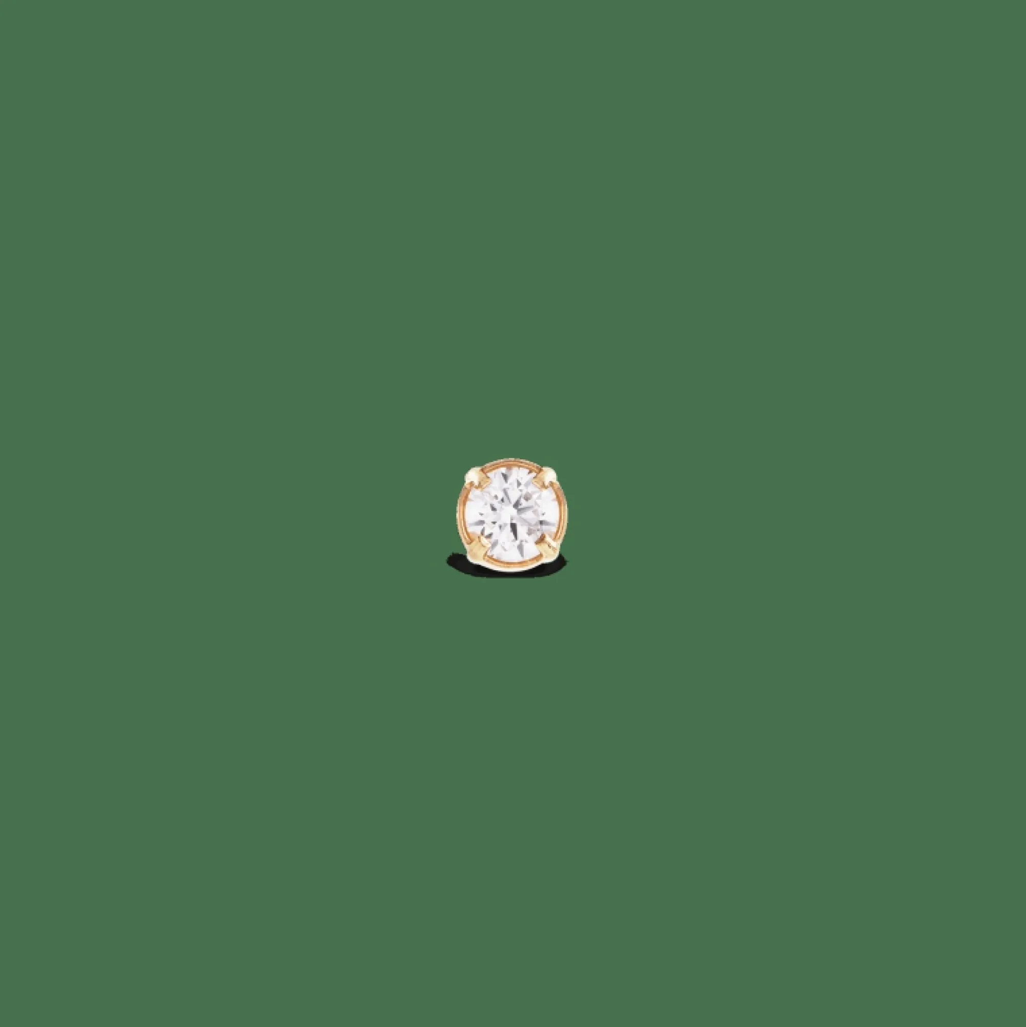 Daniel Wellington Crystal Stud
