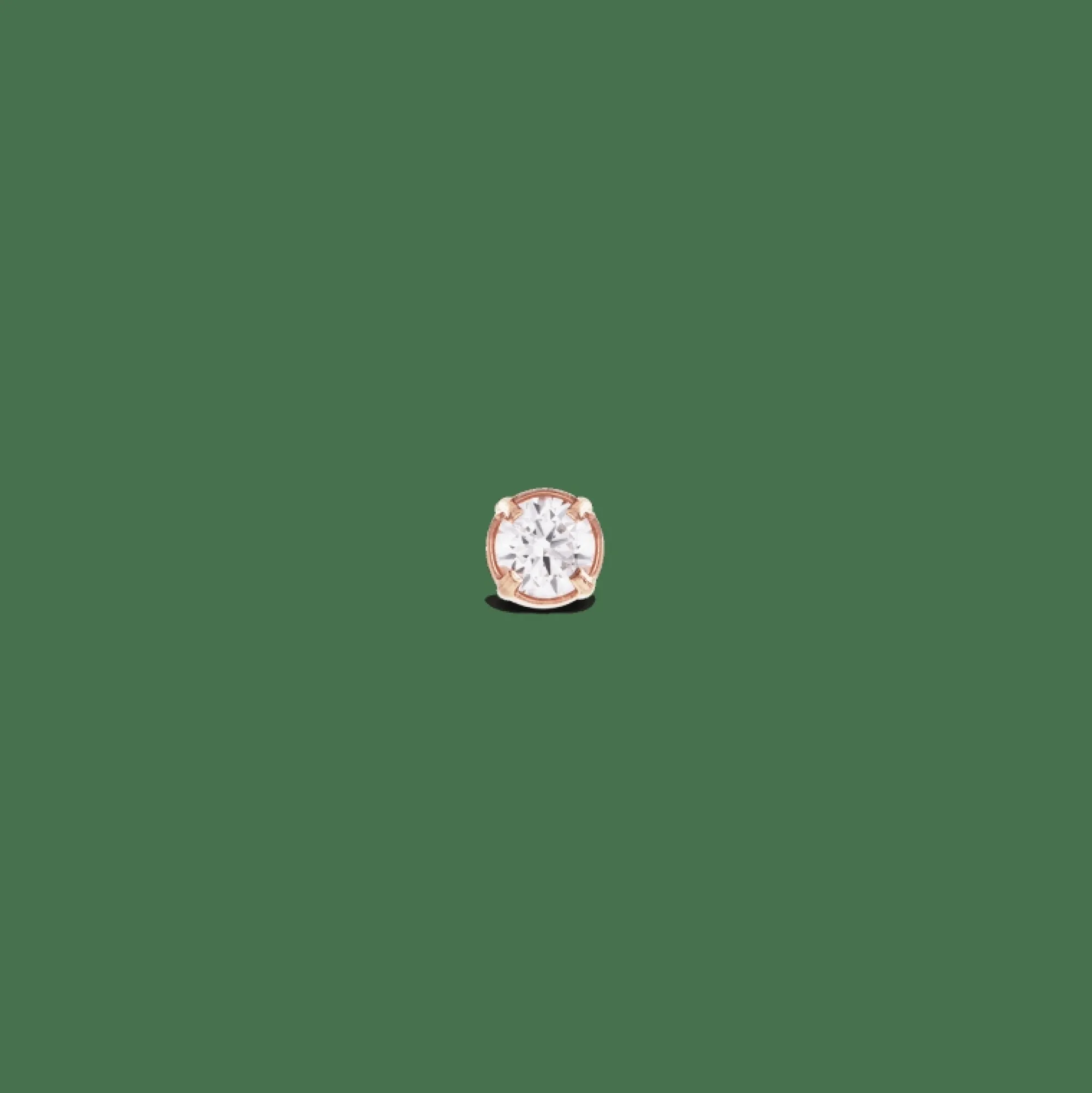 Daniel Wellington Crystal Stud