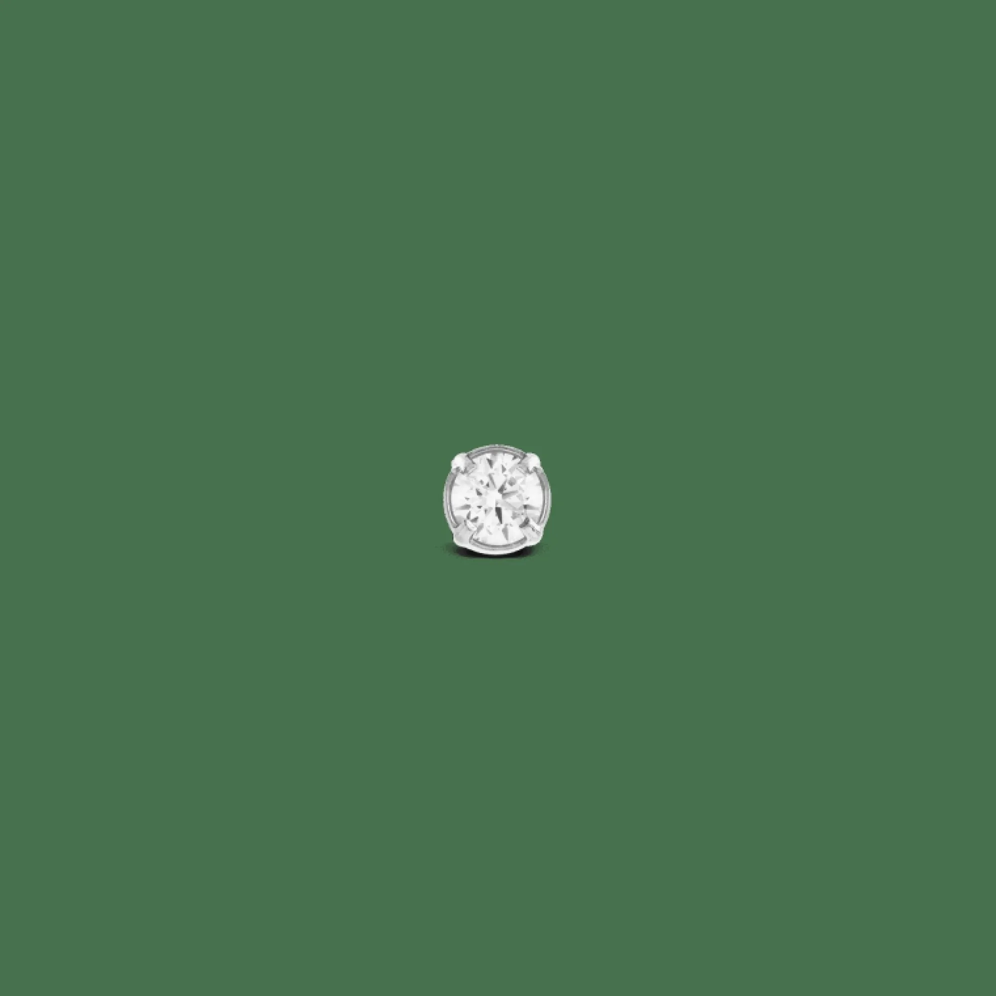 Daniel Wellington Crystal Stud