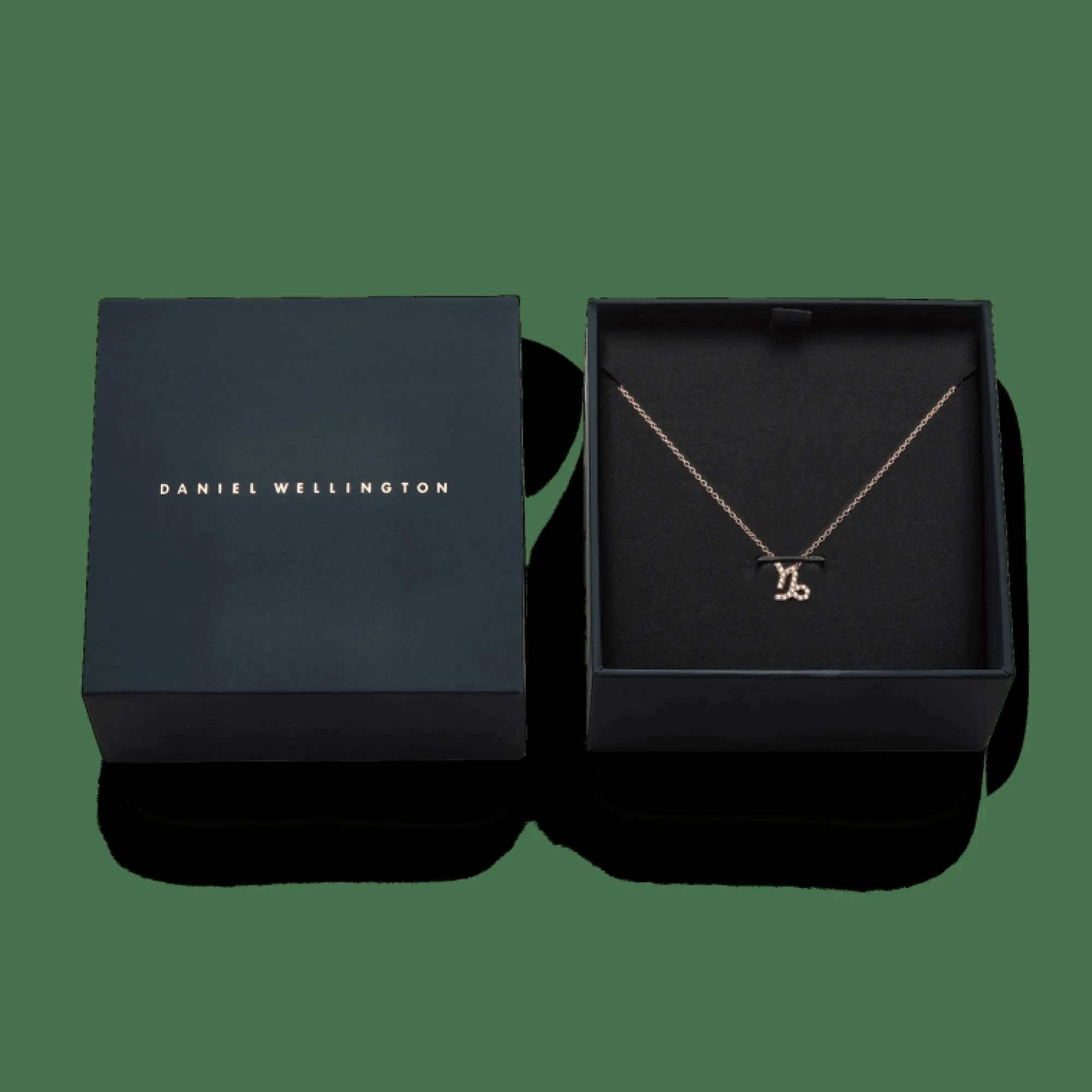 crystal_zodiac_chain_necklace_rose_gold_13.webp Daniel Wellington Crystal Zodiac Chain Necklace