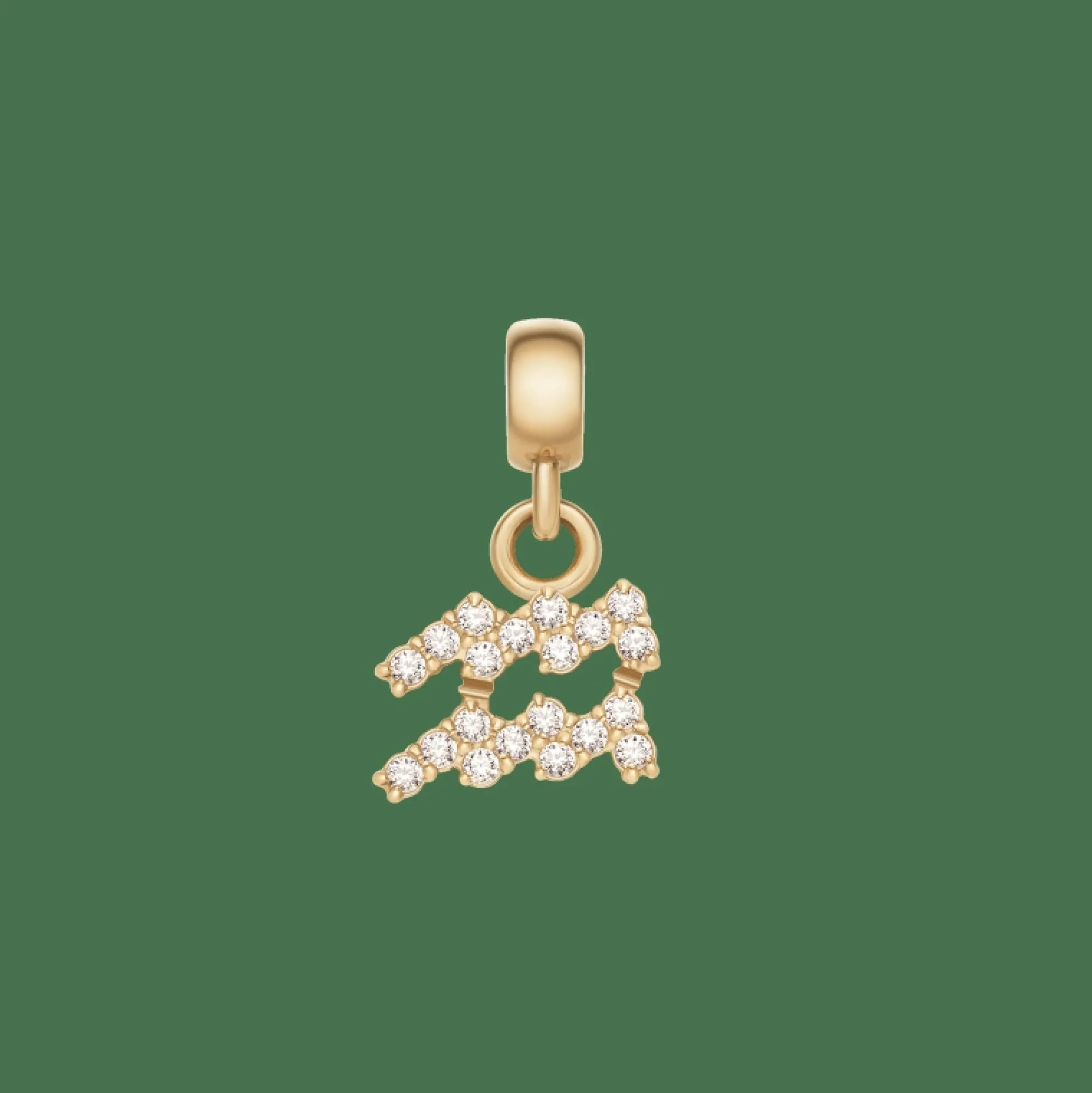 Daniel Wellington Crystal Zodiac Charm
