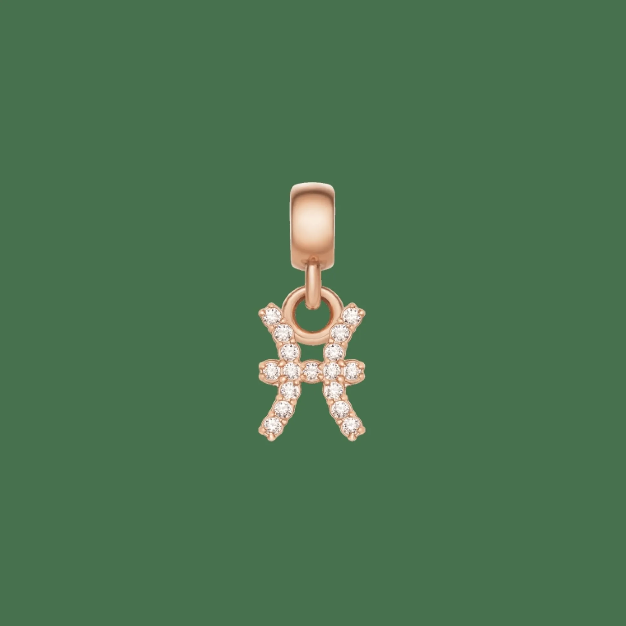 Daniel Wellington Crystal Zodiac Charm