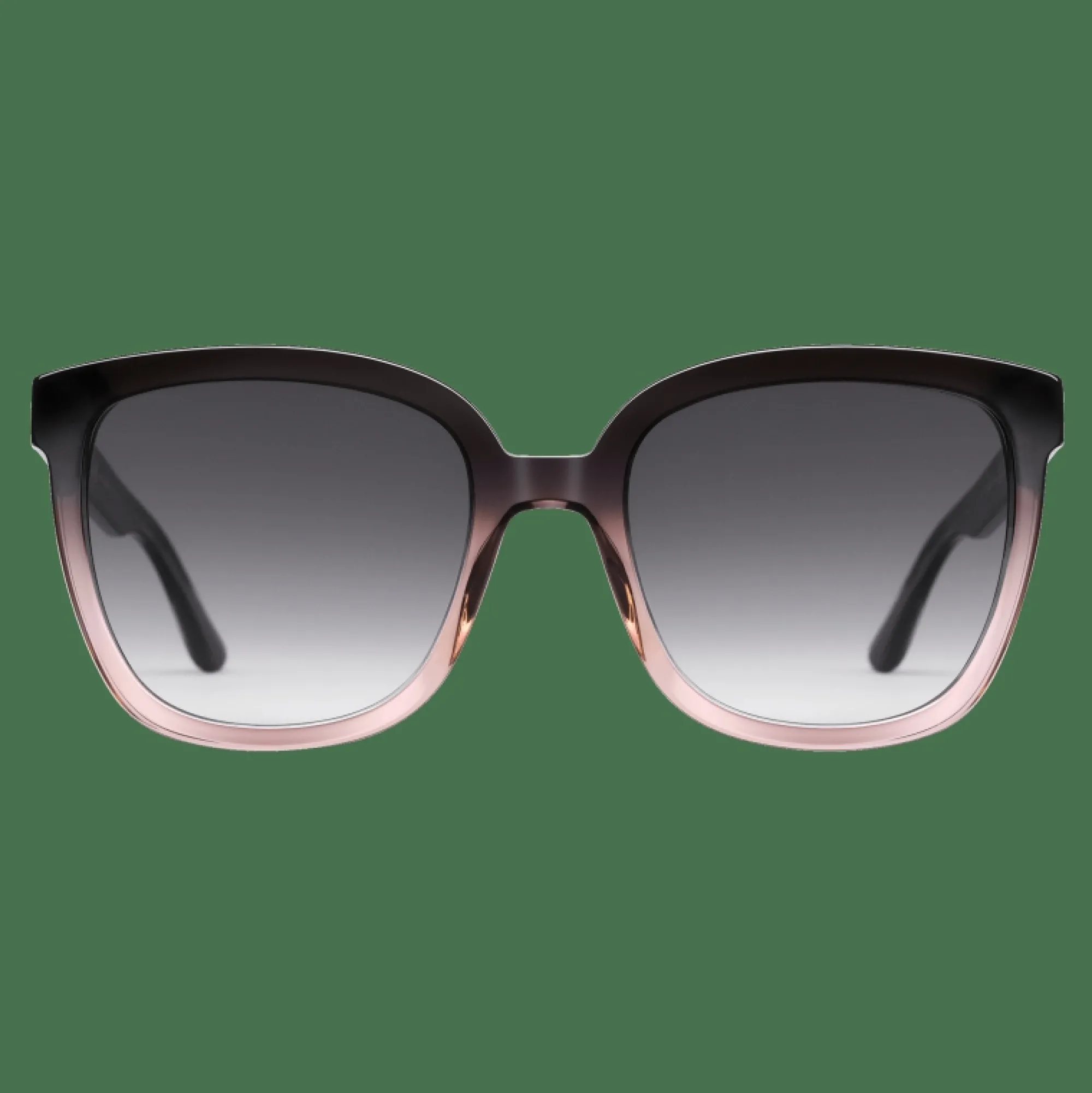 Daniel Wellington Grande Bio-Acetate Coral
