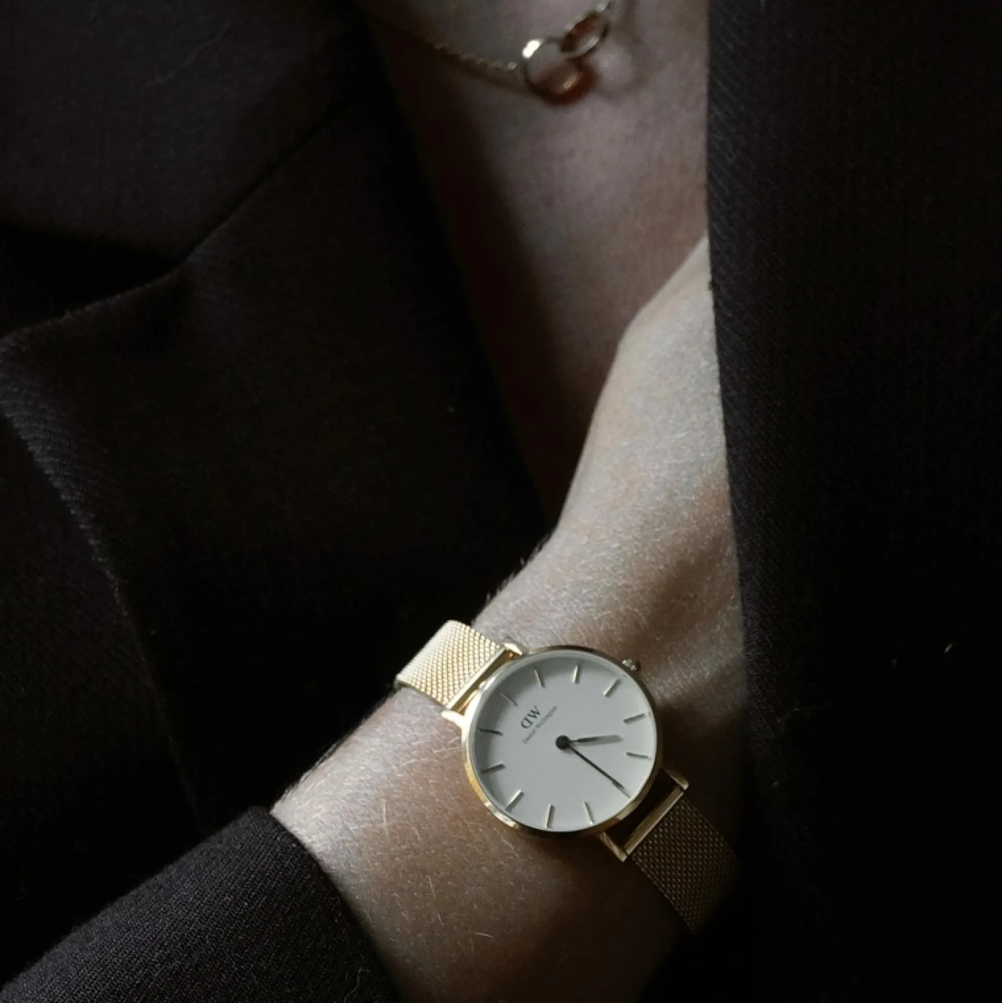 petite_evergold_2.webp Damen Daniel Wellington Petite Ever