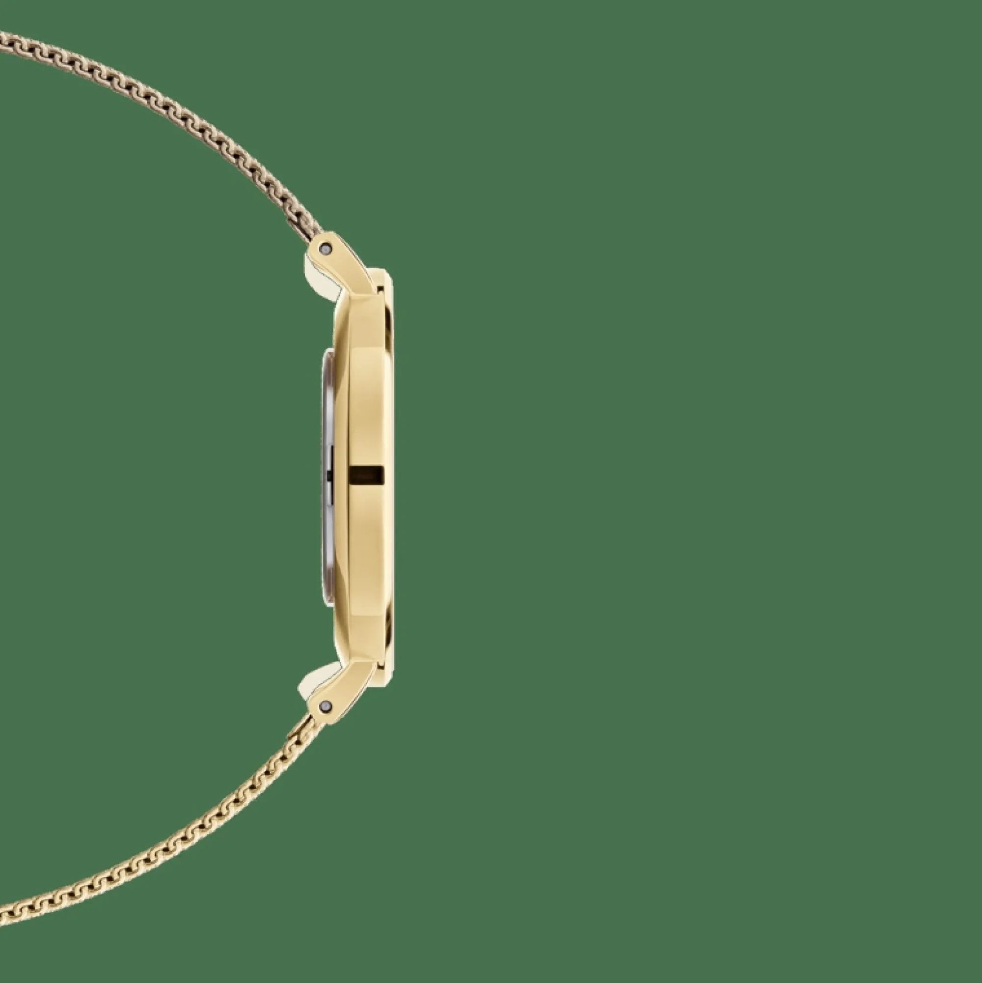 petite_evergold_4.webp Damen Daniel Wellington Petite Ever